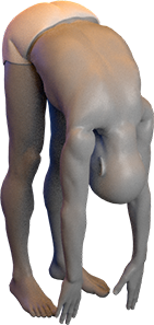 Standing Forward Bend